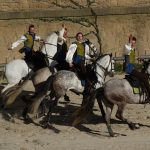 visiter la vendée et le puy du fou