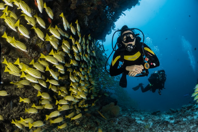 Les croisières pour passionnés de plongée sous-marine