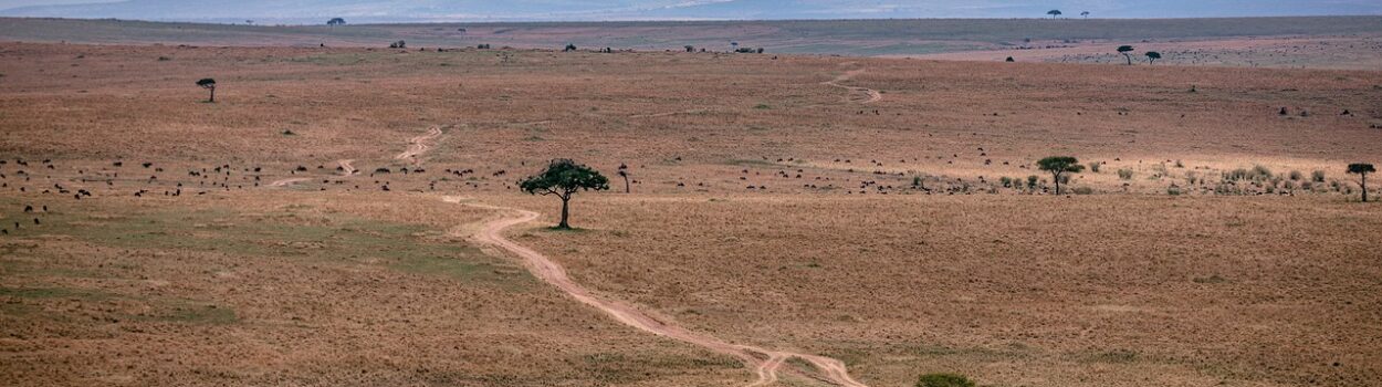 Savane au Kenya