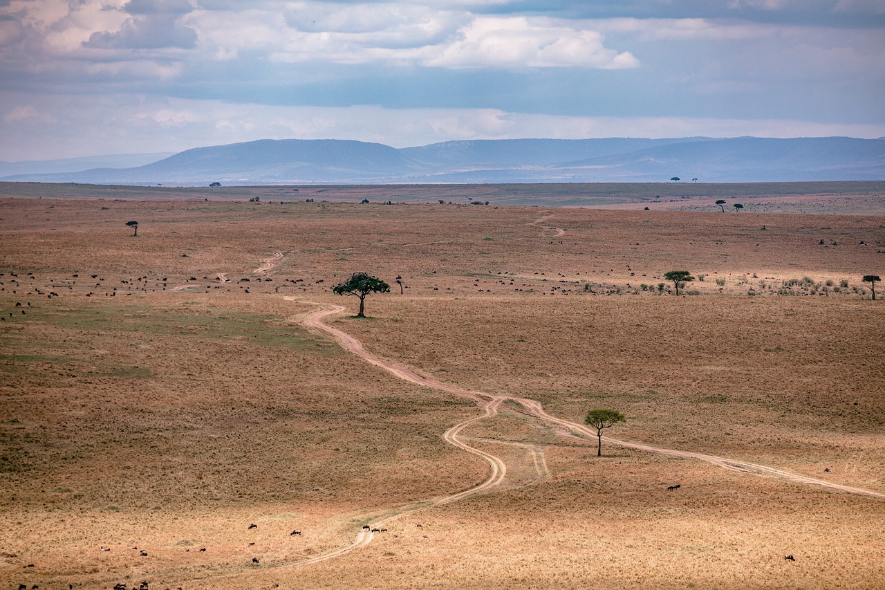 Savane au Kenya