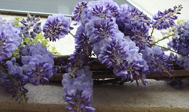 décoration printanière