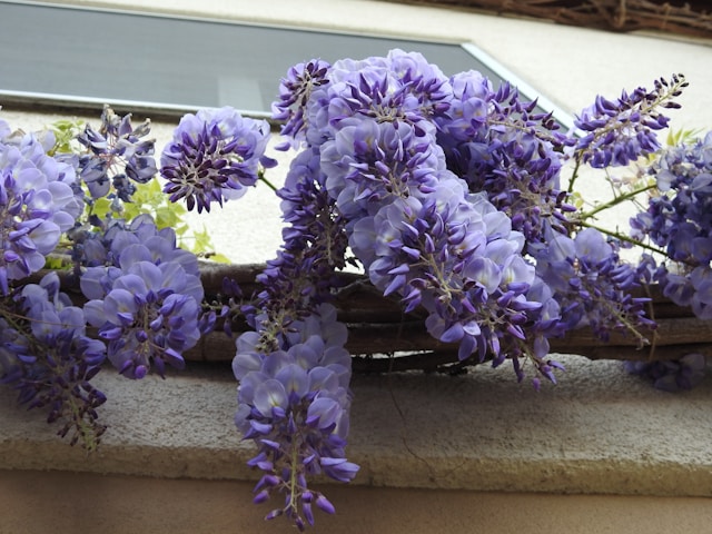 décoration printanière