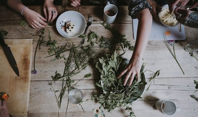 plantes médicinales