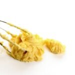 Pâte jaune collée aux fils du fouet sur fond blanc