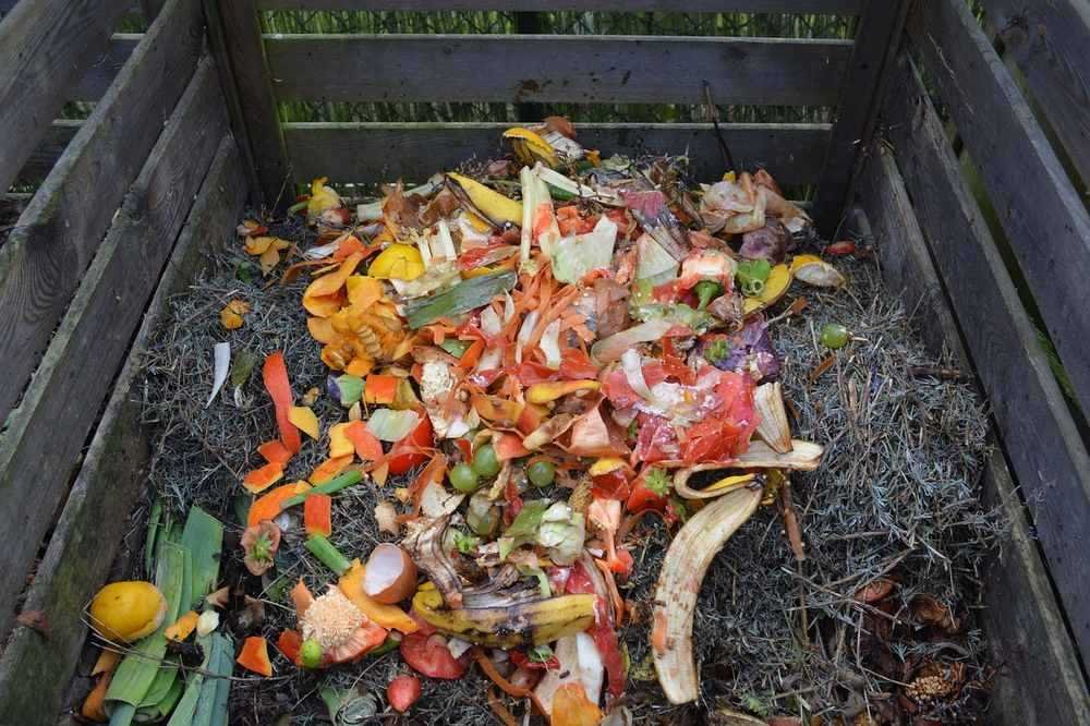 Vos déchets verts valent mieux que l'engrais du commerce Vos déchets verts valent mieux que l'engrais du commerce